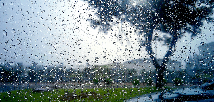 583c80c6-6131-428a-a341-d3872ab33992.width-750