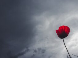 ΚΑΙΡΟΣ(ΘΑΝΑΣΗΣ ΚΑΛΛΙΑΡΑΣ/EUROKINISSI)