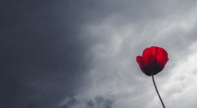 ΚΑΙΡΟΣ(ΘΑΝΑΣΗΣ ΚΑΛΛΙΑΡΑΣ/EUROKINISSI)