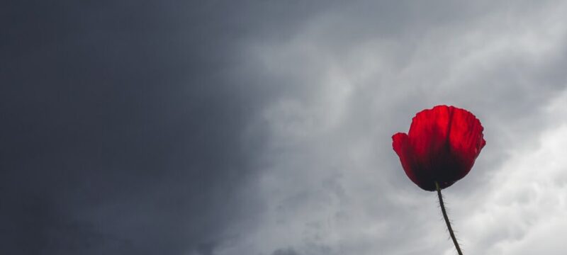 ΚΑΙΡΟΣ(ΘΑΝΑΣΗΣ ΚΑΛΛΙΑΡΑΣ/EUROKINISSI)