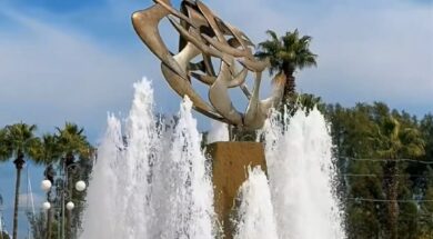 5f838b36-e4e4-43cd-9e59-0059f54e9216