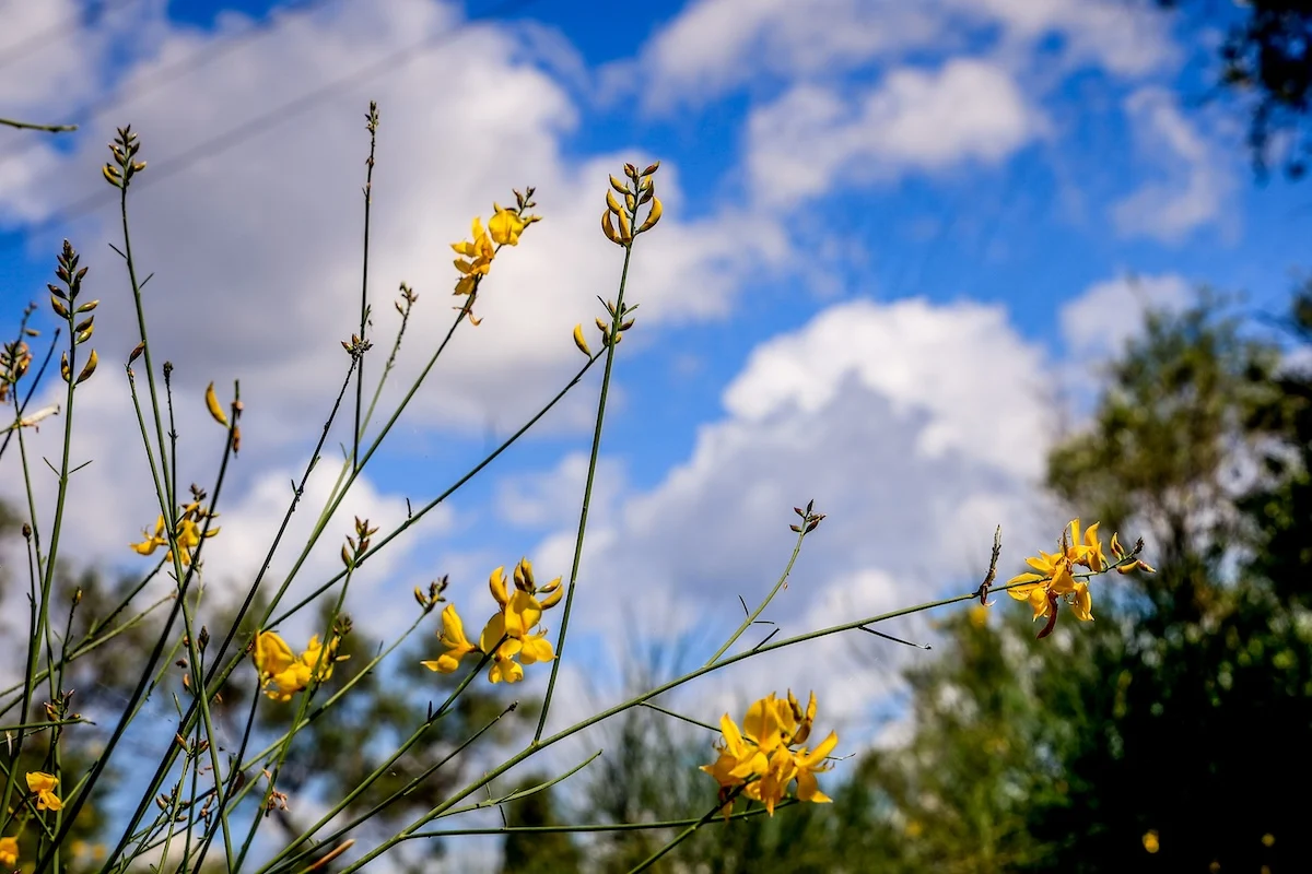 &Alpha;ί&theta;&rho;&iota;&omicron;&sigmaf; &sigma;ή&mu;&epsilon;&rho;&alpha; &omicron; &kappa;&alpha;&iota;&rho;ό&sigmaf;