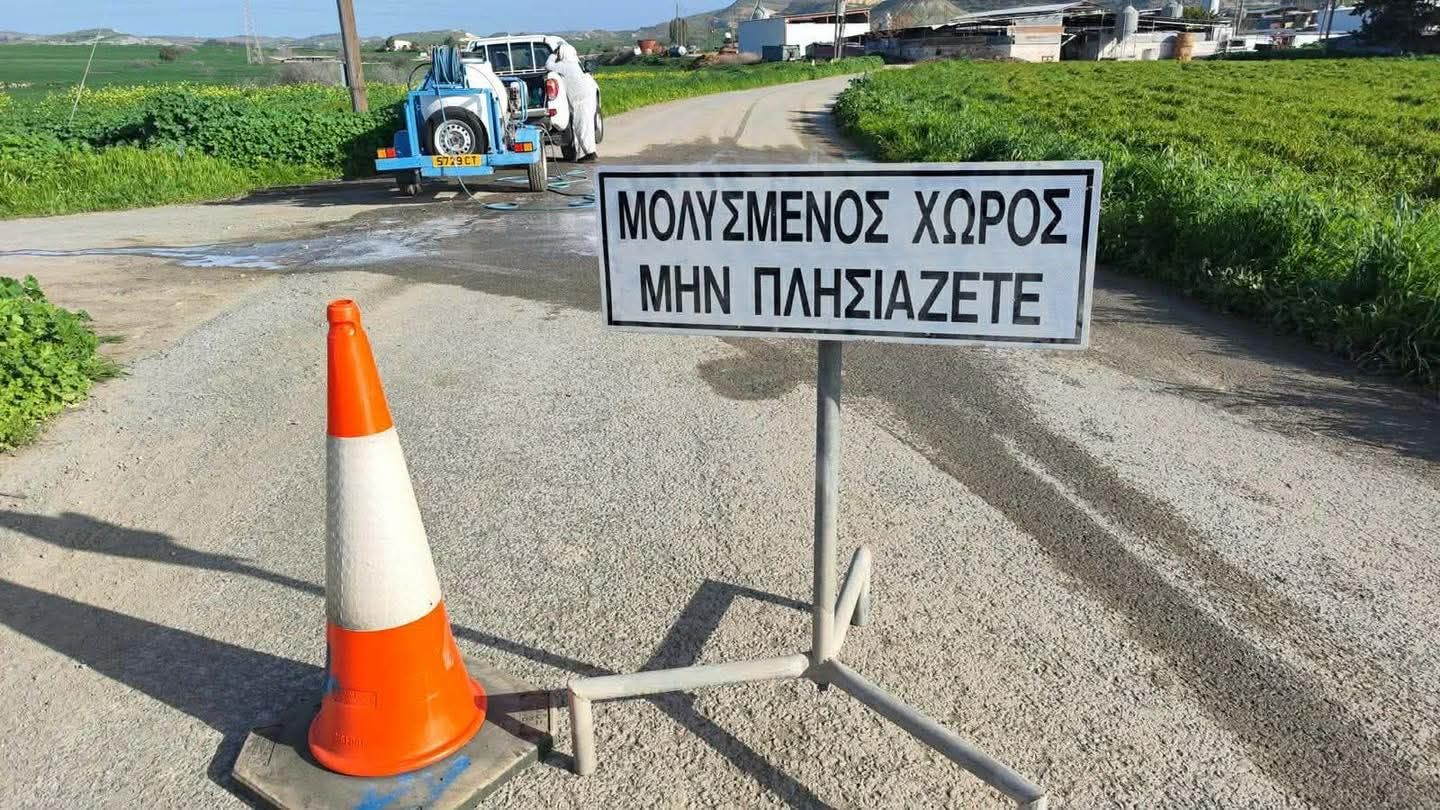 Νέα κρούσματα αφθώδους πυρετού σε 11 μονάδες – Ακόμη 2.000 μολυσμένα ζώα στα Λιβάδια και 200 στην Ορόκλινη