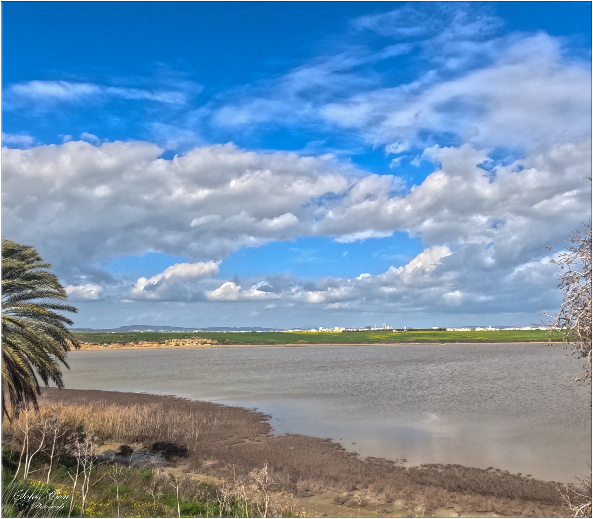 H Αλυκή Λάρνακας: Όταν η φύση ανθίζει, μόνο σαν ευλογία μπορείς να το χαρακτηρίσεις!!! 