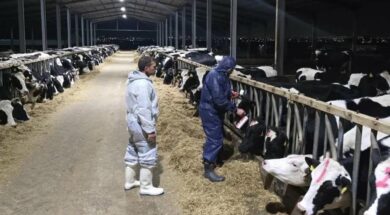 646885667_26321466847490230_6614916411443405405_n