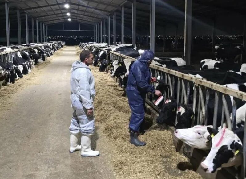 646885667_26321466847490230_6614916411443405405_n