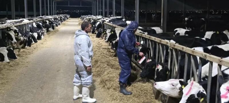 646885667_26321466847490230_6614916411443405405_n