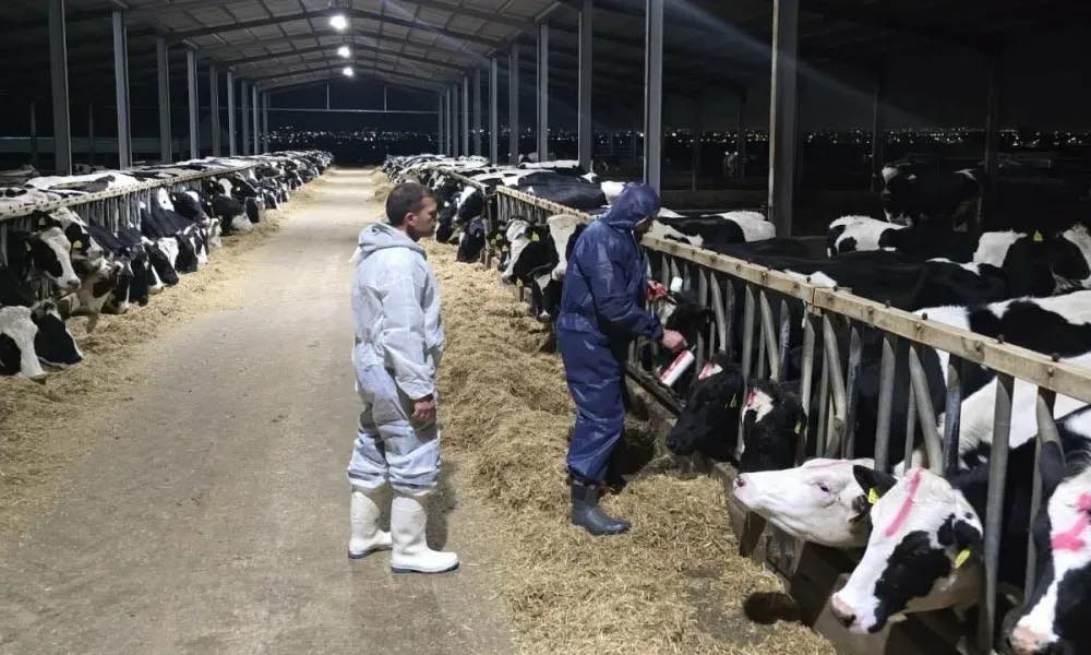 Ππεκρής: Είναι και οι αξίες της ζωής κ. Παπαδόπουλε