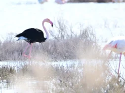 647304918_2158537744918350_4995134898141450224_n