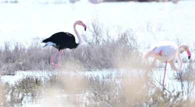 647304918_2158537744918350_4995134898141450224_n