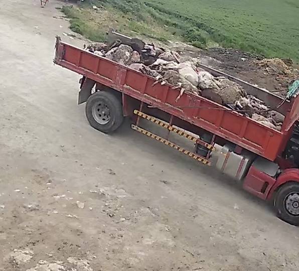 Σοβαρές καταγγελίες με… φωτογραφίες για την “Υγειονομική βόμβα στα Λειβάδια…”