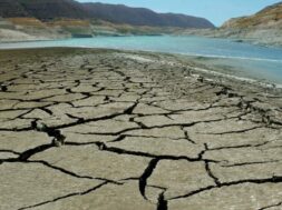 650020694_122176997300387889_7869134538320478549_n