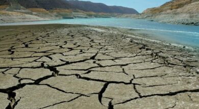 650020694_122176997300387889_7869134538320478549_n