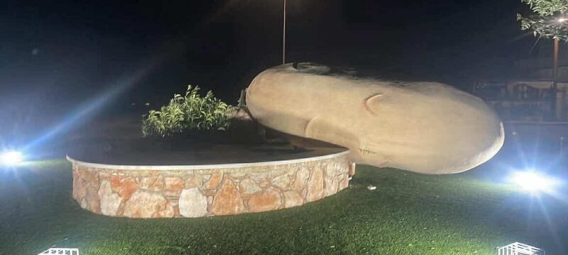 650930330_1284589926966543_5029793046455898674_n