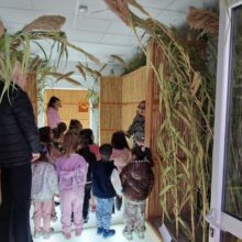 651185687_1234991945479919_4993172953352936516_n