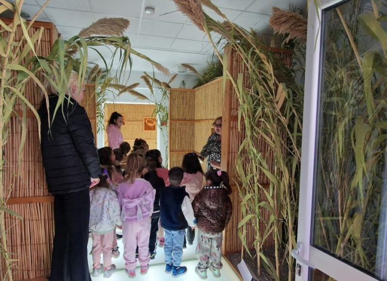 651185687_1234991945479919_4993172953352936516_n