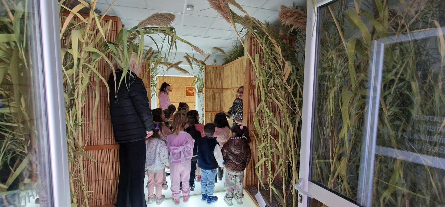 Τα παιδάκια του Δημόσιου και Κοινοτικού Νηπιαγωγείου Λιβαδιών Α’ στο Μουσείο Μνήμης Καλαμουργικής Λιβαδιών