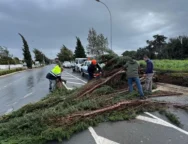 652633869_18064422506661264_1962309246726056397_n