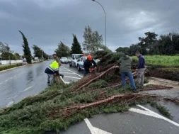 652633869_18064422506661264_1962309246726056397_n