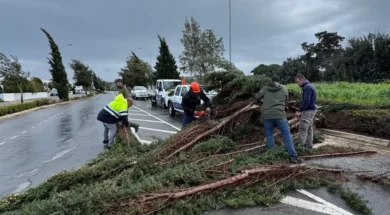 652633869_18064422506661264_1962309246726056397_n