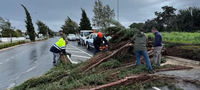 652633869_18064422506661264_1962309246726056397_n