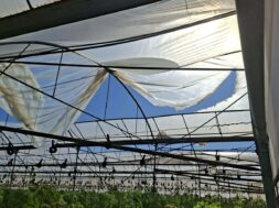 81d2d234-437c-4622-b4d4-ae3049945e4c