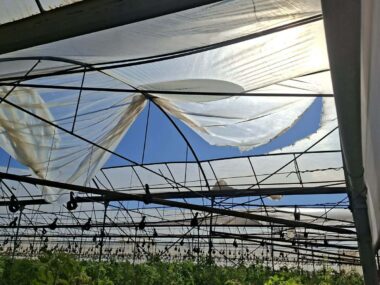 81d2d234-437c-4622-b4d4-ae3049945e4c