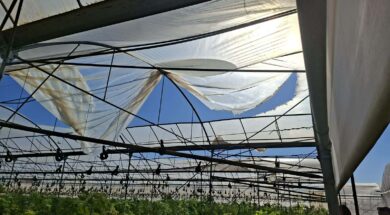 81d2d234-437c-4622-b4d4-ae3049945e4c