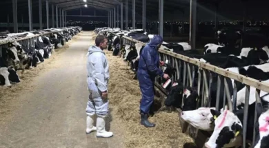 8ec1d7a9_5f9c_4aa0_9a85_9569e311dd30