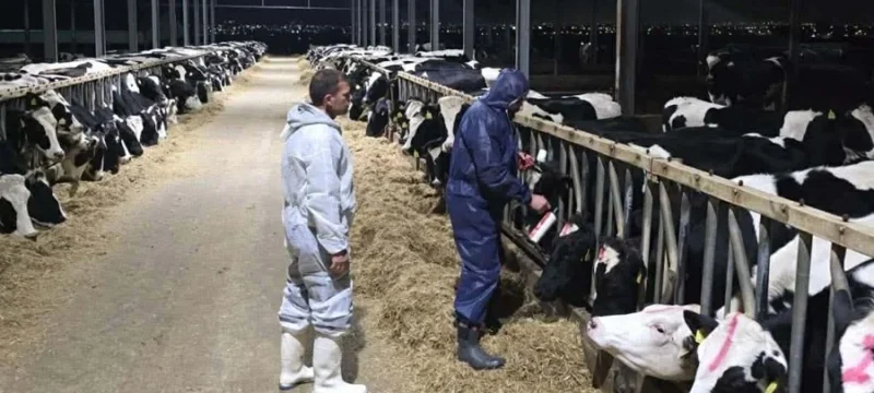 8ec1d7a9_5f9c_4aa0_9a85_9569e311dd30