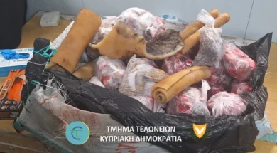 9e971aa3_78d5_41db_afd8_d9e2b68feca0