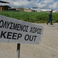 Cyprus Foot and Mouth Outbreak