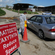 Cyprus Foot and Mouth Outbreak