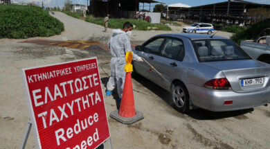 Cyprus Foot and Mouth Outbreak