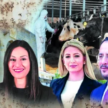 Proedriko-annita-xristodoulides-maria-1536×1024