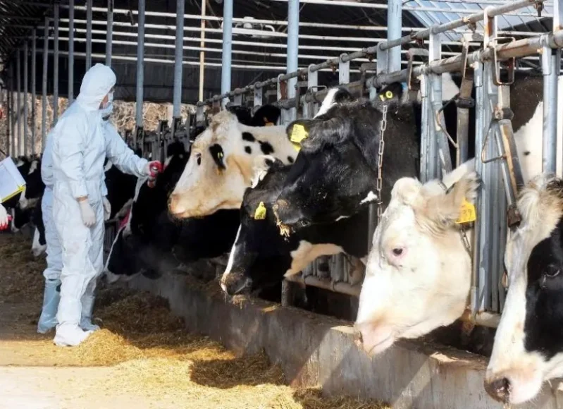 afthodhs_pyretos-large_thumbnail