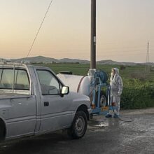 afthodis-piretos-larnaca-2 (1)