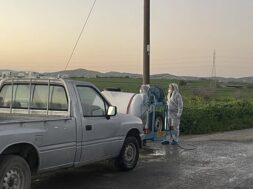 afthodis-piretos-larnaca-2 (1)