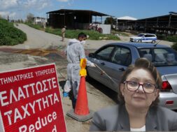 afthodis-pyretos-sotiria-georgiadou-farmes-2048×1152