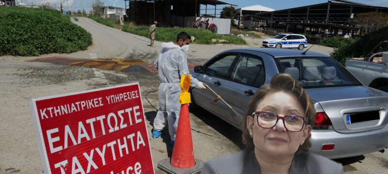 afthodis-pyretos-sotiria-georgiadou-farmes-2048×1152