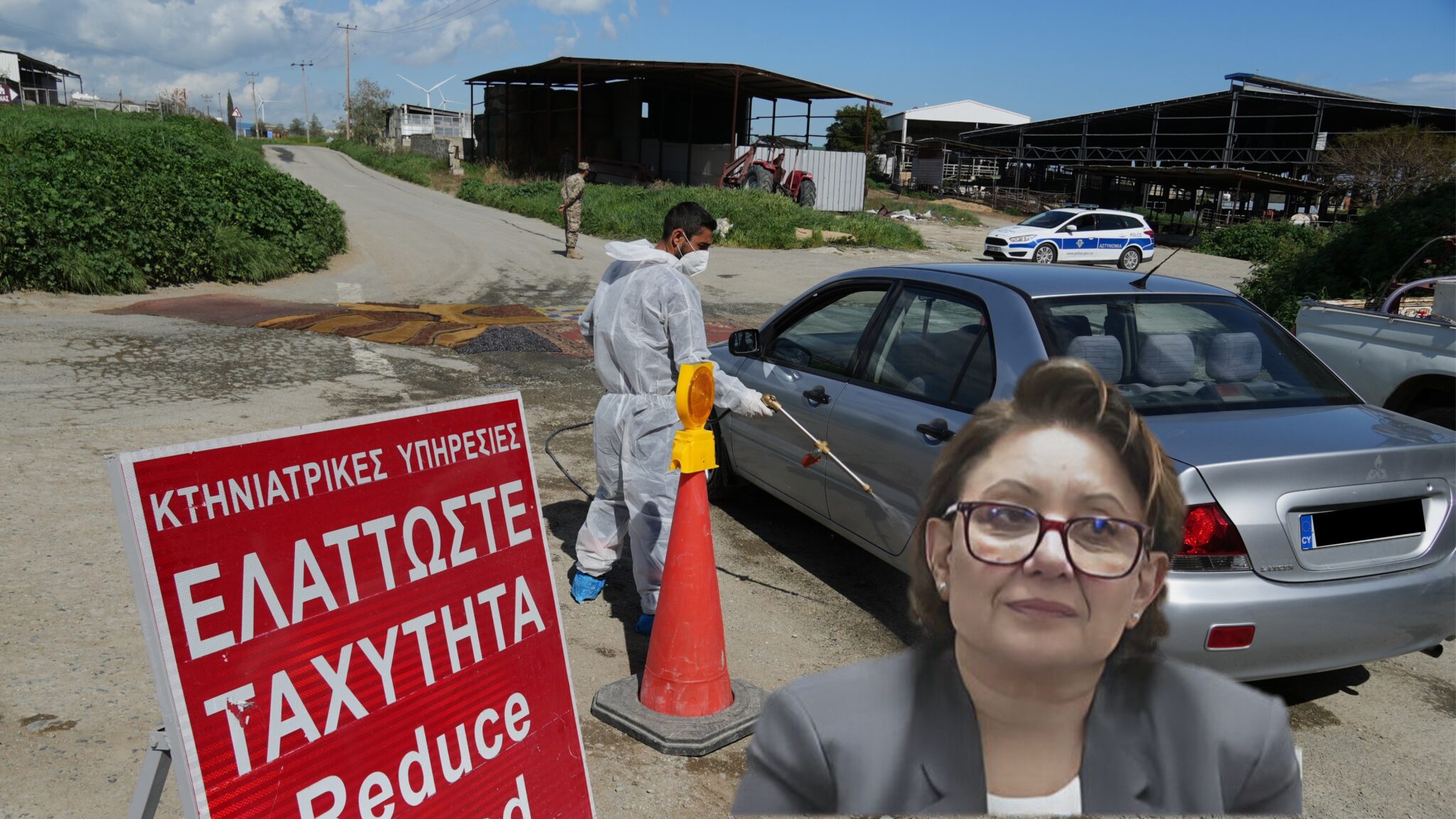 Απειλές κτηνοτρόφων κατά κτηνιάτρων «πίσω» από την αναστολή θανατώσεων ζώων, καταγγελίες στην Αστυνομία