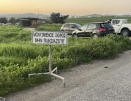 afthodis_piretos_larnaca_4