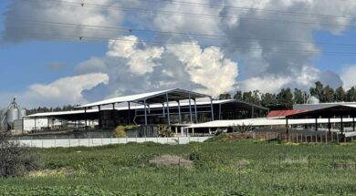 afthodis_puretos_astinomia_3232222_1068x657