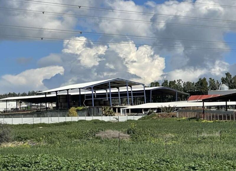 afthodis_puretos_astinomia_3232222_1068x657