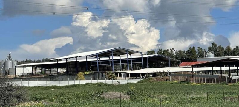 afthodis_puretos_astinomia_3232222_1068x657