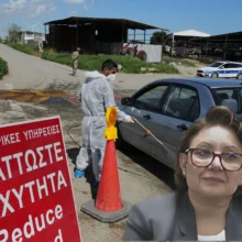 afthodis_pyretos_sotiria_georgiadou_farmes_scaled