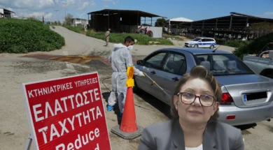 afthodis_pyretos_sotiria_georgiadou_farmes_scaled