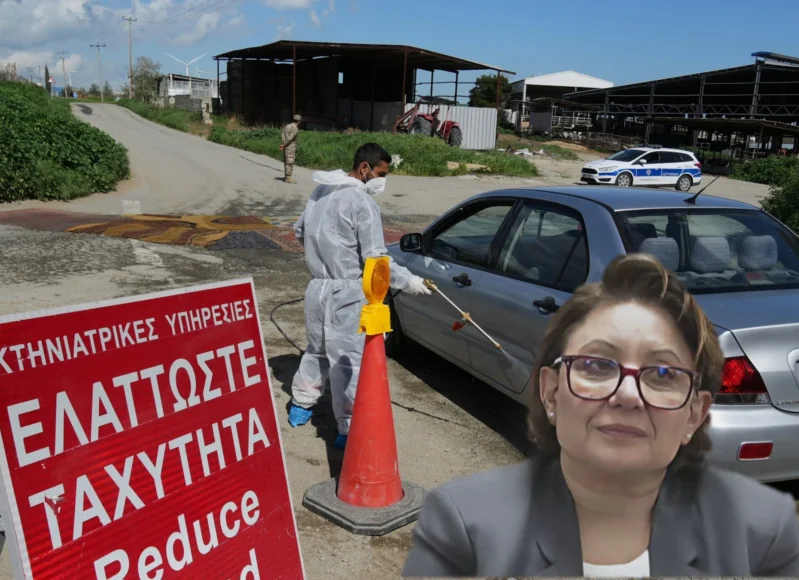 afthodis_pyretos_sotiria_georgiadou_farmes_scaled