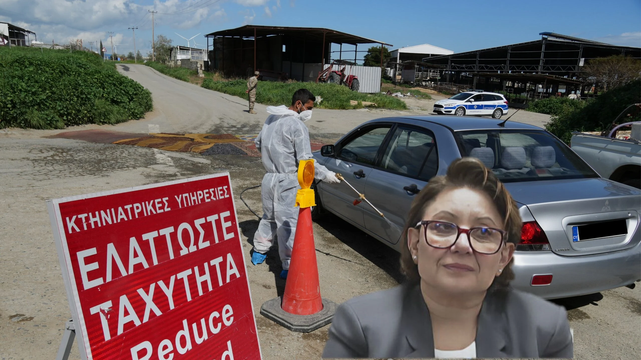 Γρηγοριάδου για αφθώδη πυρετό: Nα μη σώσουμε το δέντρο και να χάσουμε το δάσος