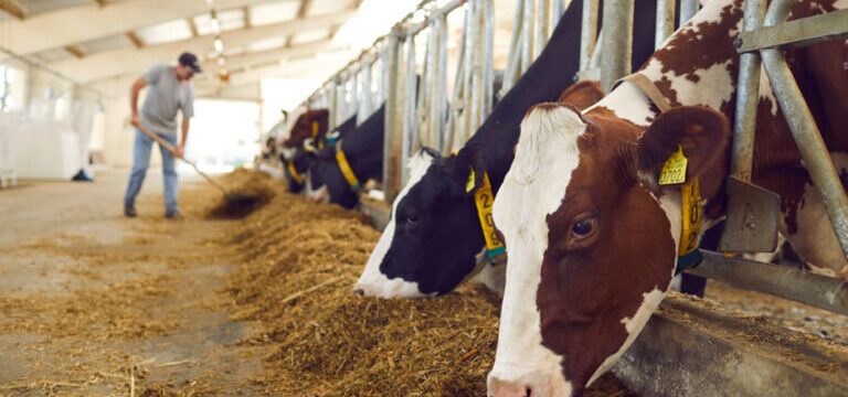 agelades-katexomena-768×431